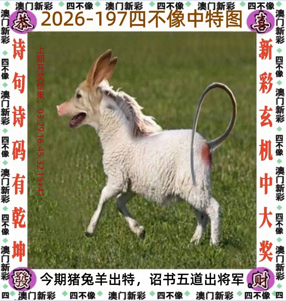 197