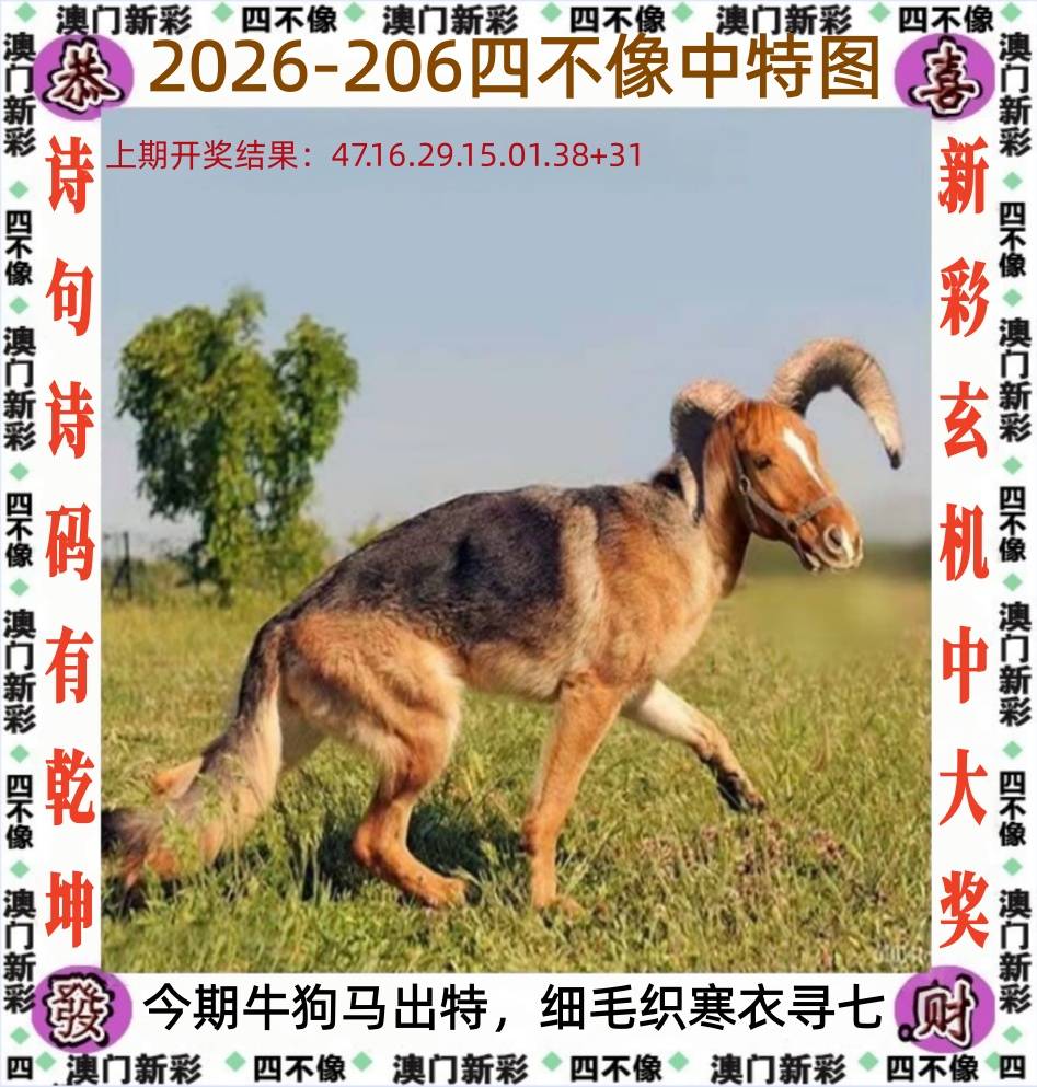 206