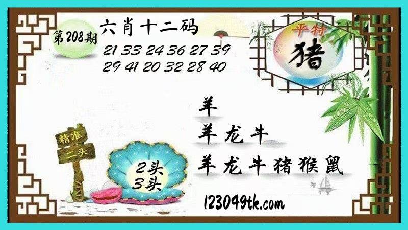 独家十二码