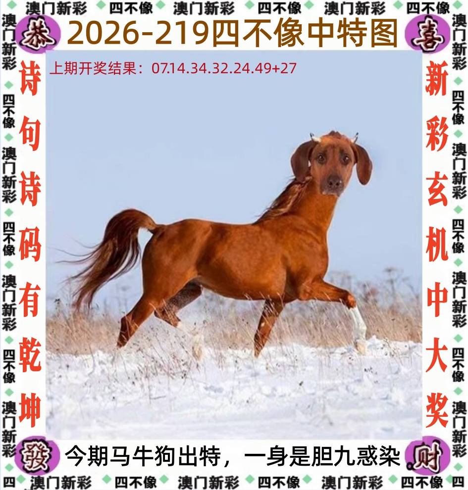 219